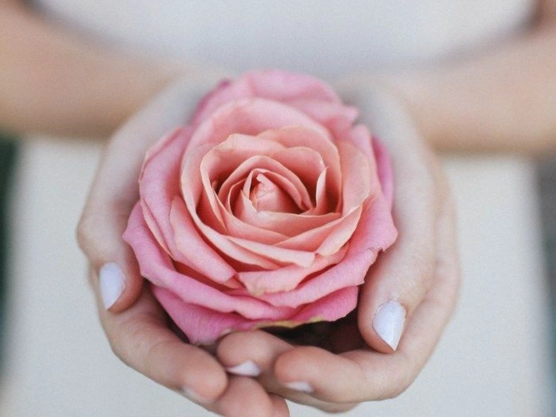 لابیاپلاستی؛ همه آنچه برای بهبودی راحت تر نیاز دارید