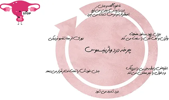 چرخه واژینیسموس