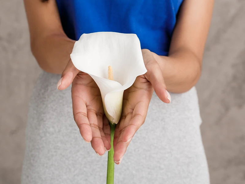 تنگ کردن دائمی واژن و هزینه آن