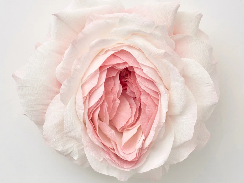 هزینه عمل تنگ کردن واژن در سال 1404