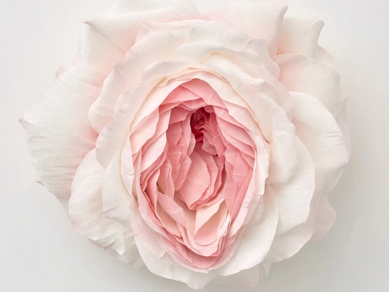 بارداری بعد از واژینوپلاستی + نکات مهم