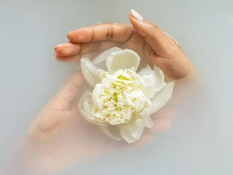 عفونت بعد از لابیاپلاستی